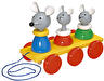 Mouse Family